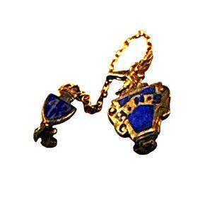 Vintage Masonic Freemason Blue Lodge Chain Collar Pins Gold Tone